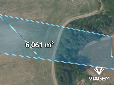Prodej pole, Nelahozeves, 6061 m2