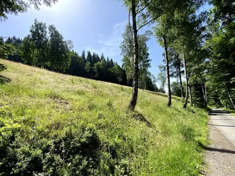Prodej louky, Jablonec nad Jizerou, 15826 m2