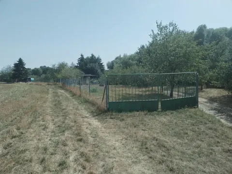 Prodej zahrady, Blížkovice, 767 m2
