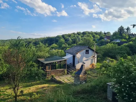 Prodej chaty, Libčice nad Vltavou, 28 m2
