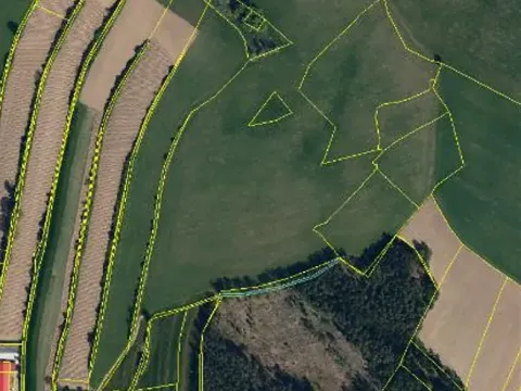 Prodej lesa, Červená Řečice, 1375 m2