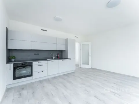 Pronájem bytu 1+kk, Praha, 38 m2