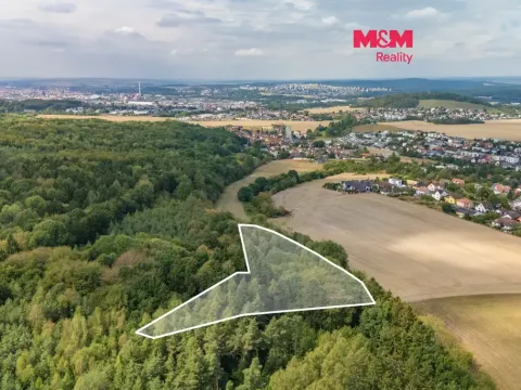 Prodej lesa, Plzeň - Červený Hrádek, 6522 m2