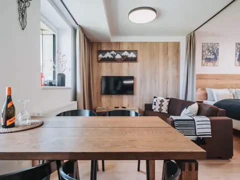 Prodej bytu 1+kk, Loučná pod Klínovcem, 37 m2
