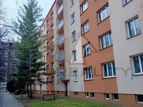 Pronájem bytu 2+1, Kolín, Družstevní, 62 m2