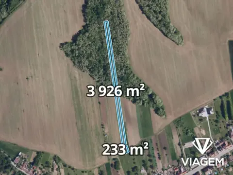 Prodej podílu pole, Diváky, 969 m2