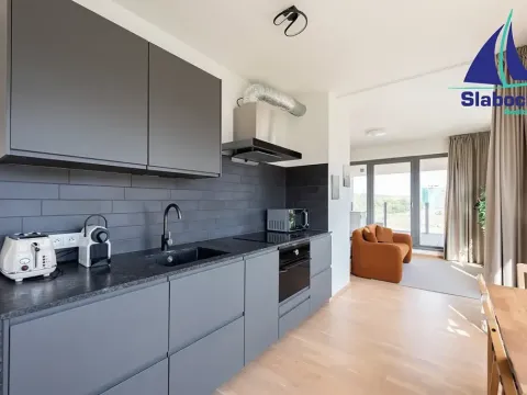 Pronájem bytu 1+kk, Praha - Karlín, Breitfeldova, 63 m2
