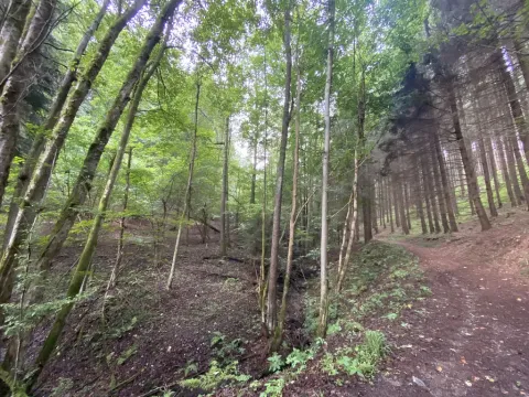 Prodej louky, Strážná, 2049 m2