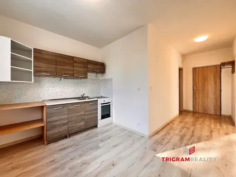Pronájem bytu 1+1, Rychnov nad Kněžnou, Mírová, 40 m2