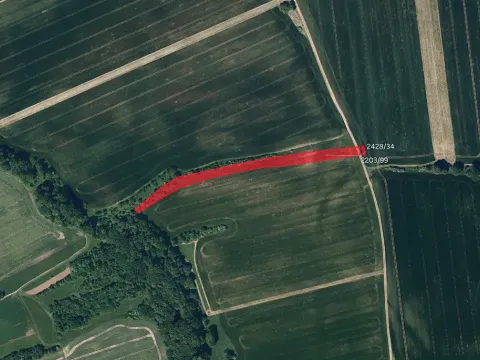 Prodej pole, Kněžpole, 5618 m2