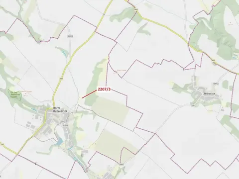Dražba lesa, Horní Dunajovice, 28 m2