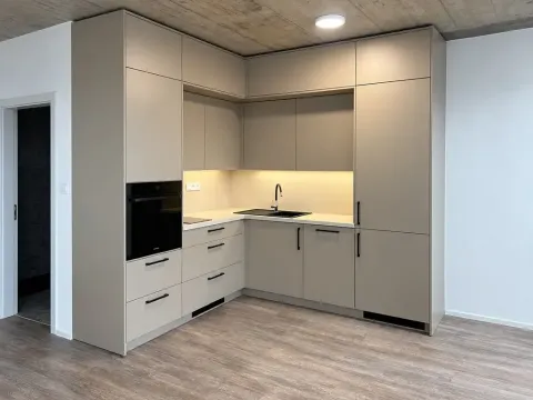 Pronájem bytu 1+kk, České Budějovice, Štítného, 44 m2