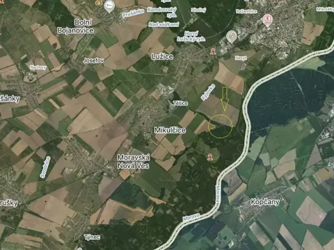 Prodej lesa, Mikulčice, 2795 m2