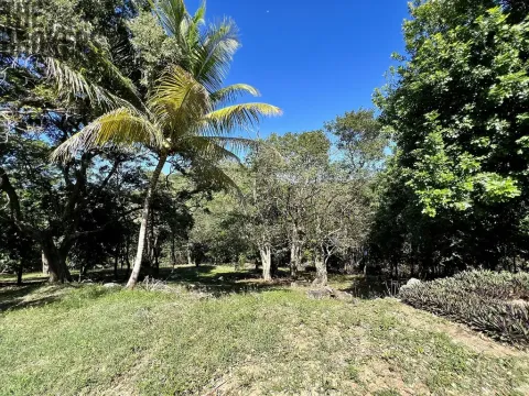 Prodej pozemku, Coxen Hole, Roatán, Honduras, 1966 m2