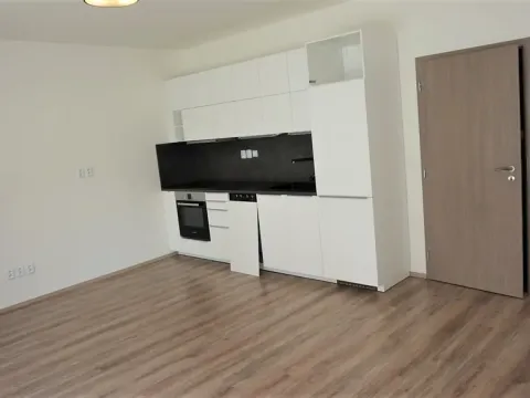 Pronájem bytu 1+kk, Brno, Vranovská, 49 m2