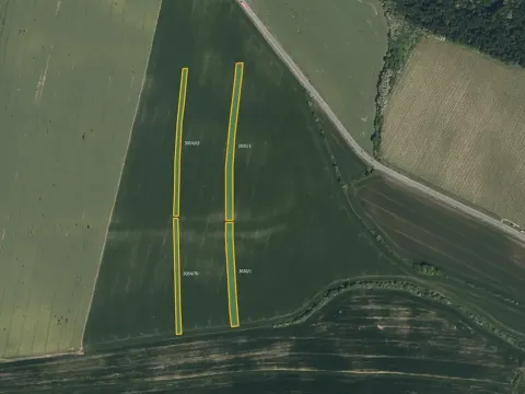 Prodej pole, Sobůlky, 10746 m2