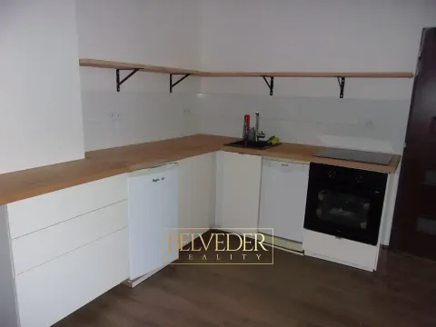 Pronájem bytu 2+kk, Novosedlice, Komenského, 54 m2