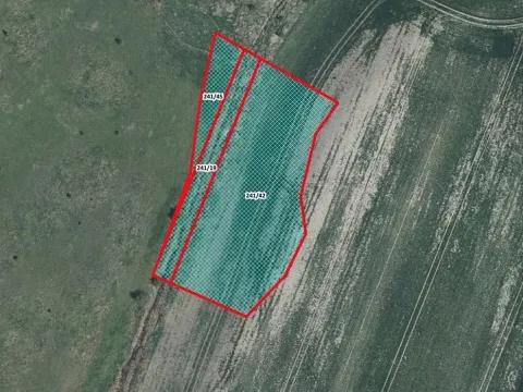 Prodej pole, Chotěšice, 4543 m2