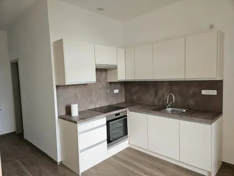 Pronájem bytu 1+1, Pardubice, třída Míru, 54 m2