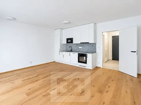Prodej bytu 1+kk, Praha - Košíře, Starokošířská, 42 m2