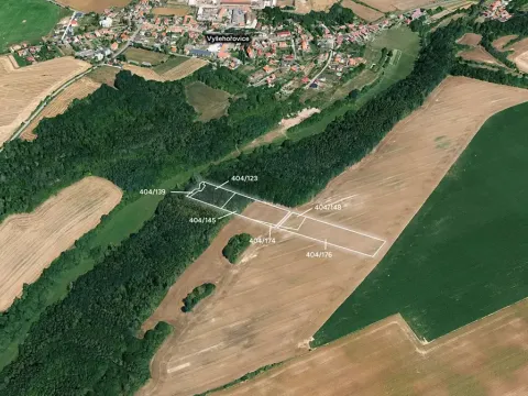 Prodej lesa, Vyšehořovice, 19741 m2