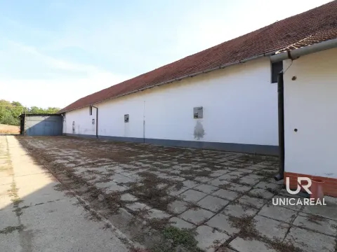 Pronájem skladu, Holubice, 1028 m2