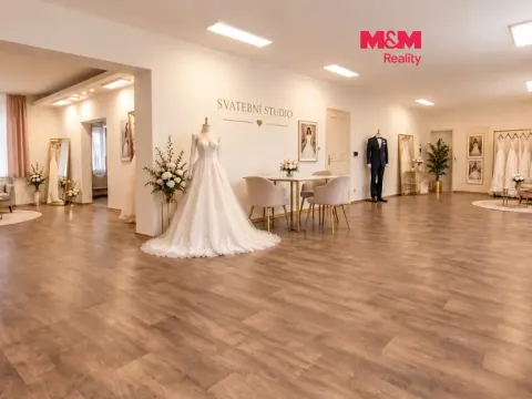 Pronájem kanceláře, Třinec - Staré Město, 1. máje, 99 m2