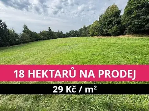 Prodej louky, Stráž nad Ohří, 176908 m2