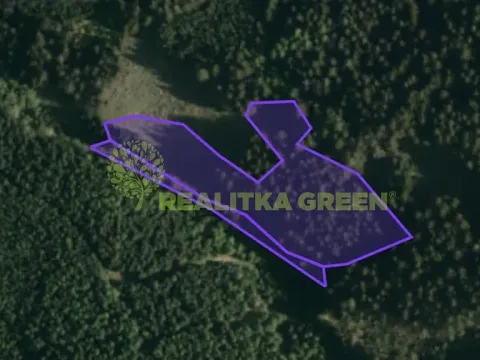 Prodej lesa, Hovězí, 9912 m2